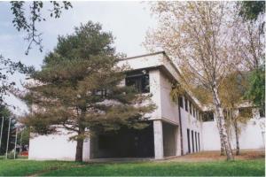 Bor pred knjižnico v Tolminu - Foto arhiv občine